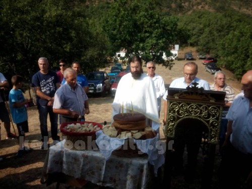 dog 13876531 1056561437712908 6138309015481880301 n