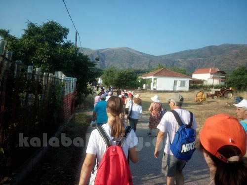 dog 13879325 1056430531059332 2639141403289066409 n