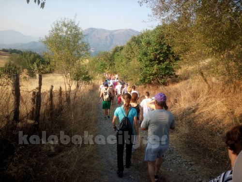 dog 13882101 1056430101059375 7782809125094320659 n