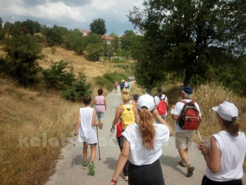 dog 13892098 1056561341046251 9089585430216163619 n