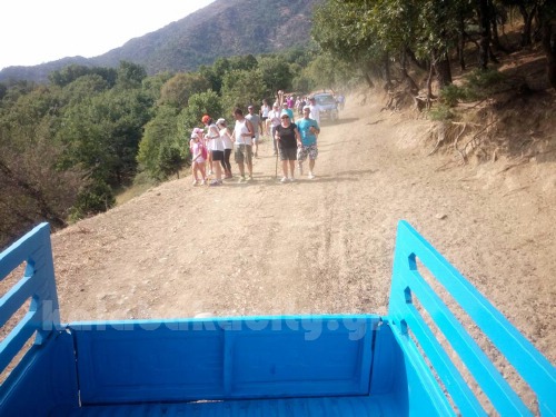 dog 13932852 1056560464379672 1882070242408472806 n