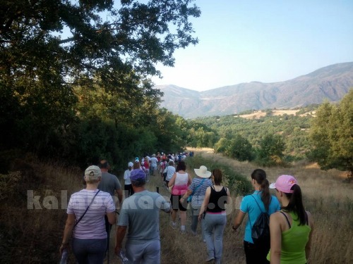 dog 13934980 1056430257726026 1007342190326235012 n