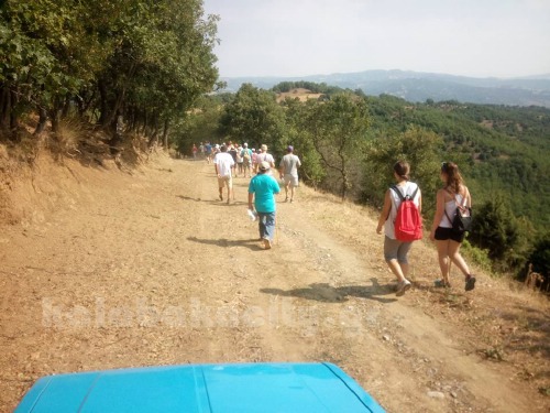 dog 13938341 1056560271046358 8518682209104307711 n