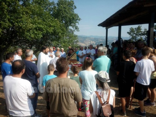 dog 13938341 1056561687712883 7496207397679840919 n