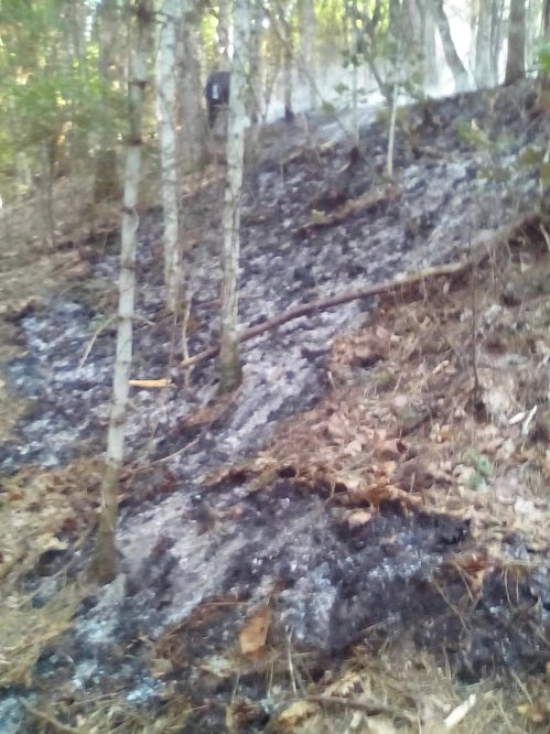 kalomoira 13872820 10202069733820758 272154849316194773 n