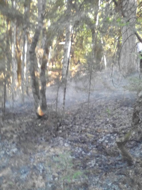 kalomoira 13872888 10202069726500575 8511449615598999292 n