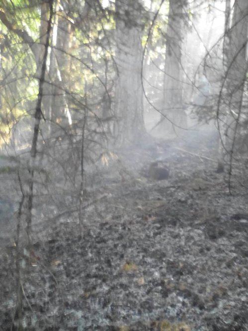 kalomoira 13879251 10202069720540426 5119228429774455967 n