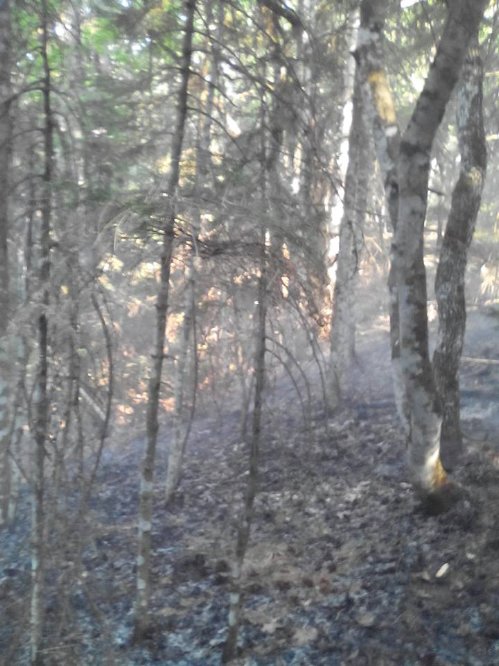 kalomoira 13900067 10202069721580452 1740503282012984237 n