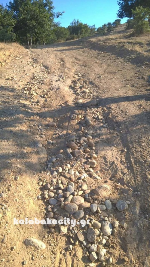 palioapanagia 14045110 10206659529918623 1388647473 o