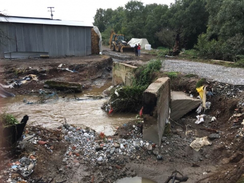 14238323 10207313118006193 6405280334350743598 n