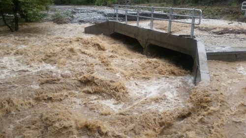 14265010 10207313118726211 1167302314752392224 n