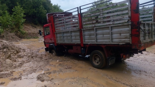 14273536 10205267901056515 721602908 o