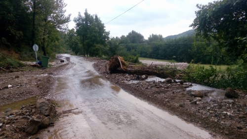 14274541 10205267901976538 1059248250 o