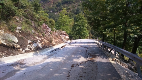 14285450 940962572699178 264176825 o