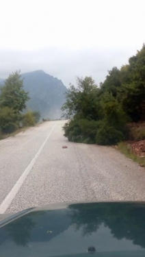 14302867 10205267898016439 502401682 n