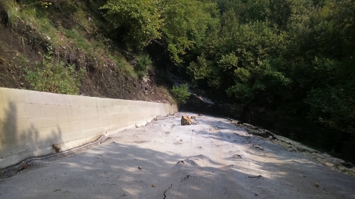 14315618 940963376032431 1602581403 o