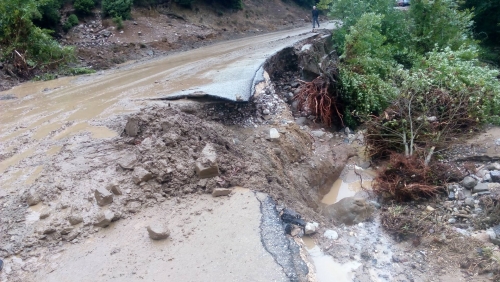 14316066 10205267900936512 526751166 o