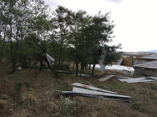 14322255 10207313118126196 7031663558474081207 n