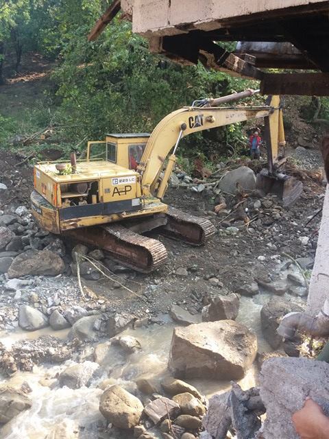 14331509 192829897795732 855110891 n