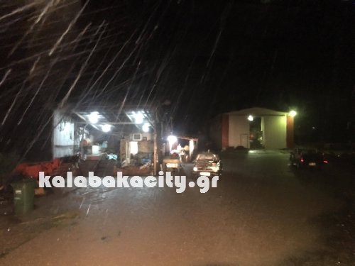 diava 14273384 1171111452932502 1203180082 o