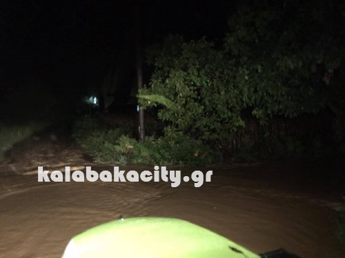 diava 14315829 1171111189599195 1264100552 o