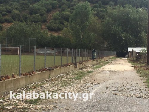 diava 14316024 1171443962899251 1951551678 o