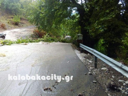 glyko imcc2ced61fc69415409e4937cc1492edba9e8bca7c202df4180beb7dde-V