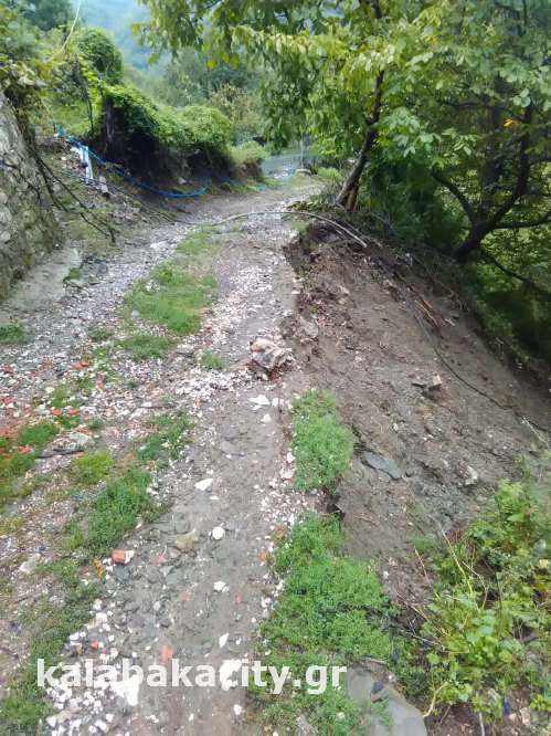 glykomhlia image-0-02-01-38faee4114d875c7fc01b1be3bf0b0ee845d71dc56ee0199c5a2e03d0198a436-V