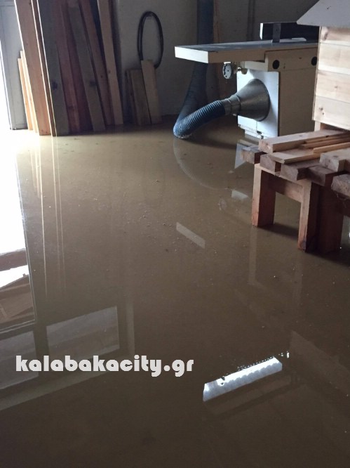 kastania 14285270 10207553089966320 934562058 o