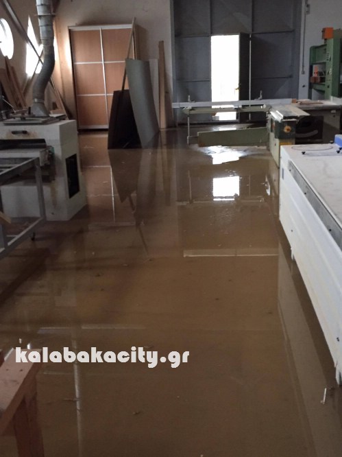 kastania 14285469 10207553089886318 115510600 o