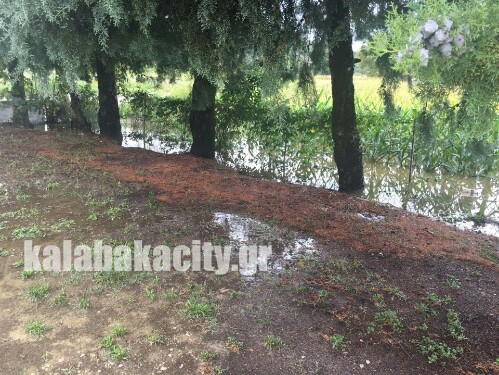 received 1170687456308235 wm