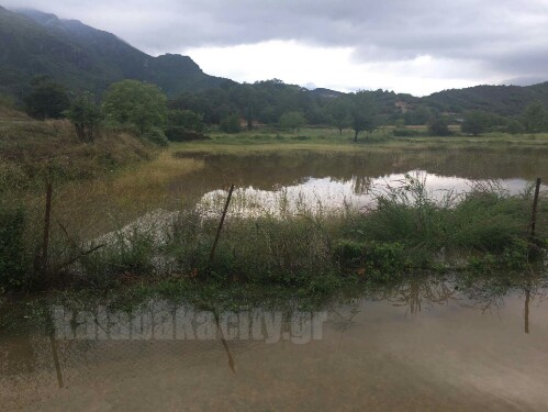 received 1170689462974701 wm