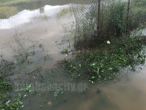 received 1170689466308034 wm