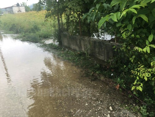 received 1170689562974691 wm