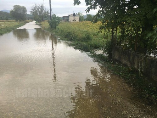 received 1170689566308024 wm