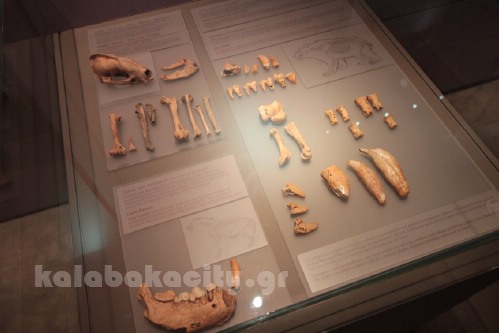 sphlaio apokatastasi IMG 8989