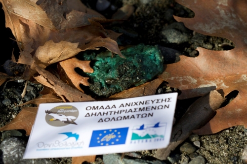 Poison Kalopleuri ORNITHOLOGIKI DVavlylis 5