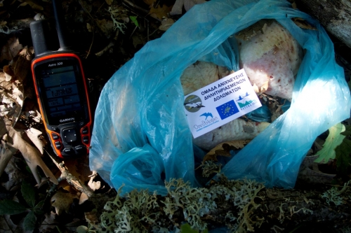 Poison Kalopleuri ORNITHOLOGIKI DVavlylis 6