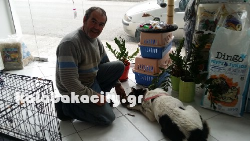 animal kalabaka 20161016 122549