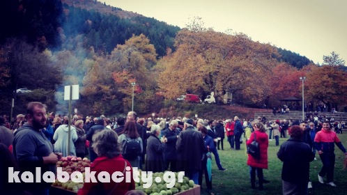 kastania 14894376 10207847067236460 2132876723 o