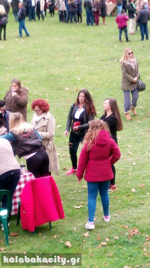 kastania image-0-02-05-21fe4404270a913718888df7819c9ec6de9d12504107c4c7940d8fe9433a79e8-V