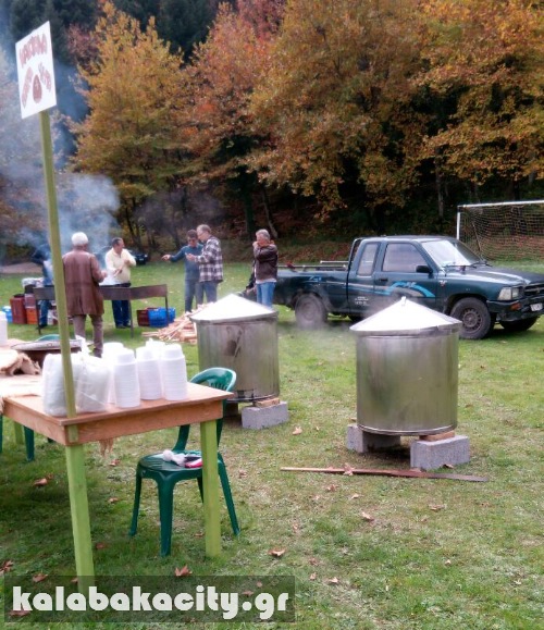 kastania image-0-02-05-682f9cac928fabf8de400bb97912d9c409ce6e25741216ec60dcc076e88525c0-V