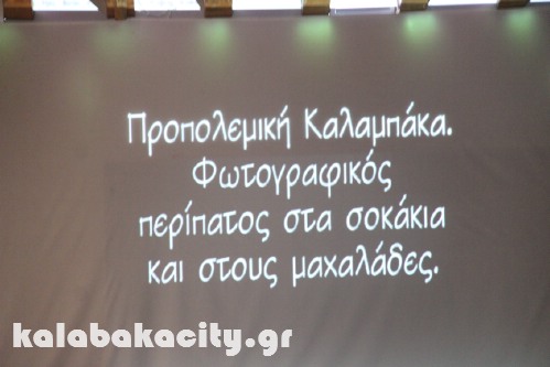 pyrpolisi n lIMG 1078