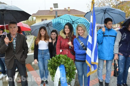 stefaniaDSC 0116 Small