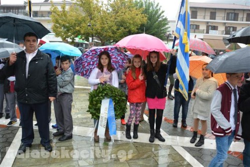 stefaniaDSC 0125 Small