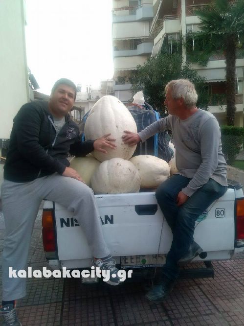 vaios 14786871 10207937340687764 1234165955 o