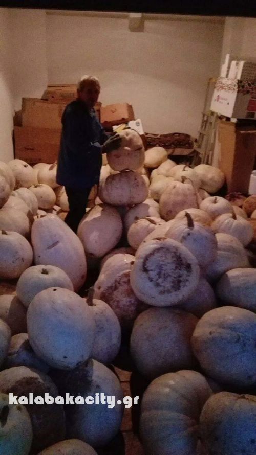 vaios 14795664 10207937321727290 101422529 o