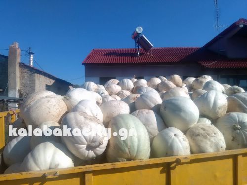 vaios 14796082 10207937490451508 1398543951 o