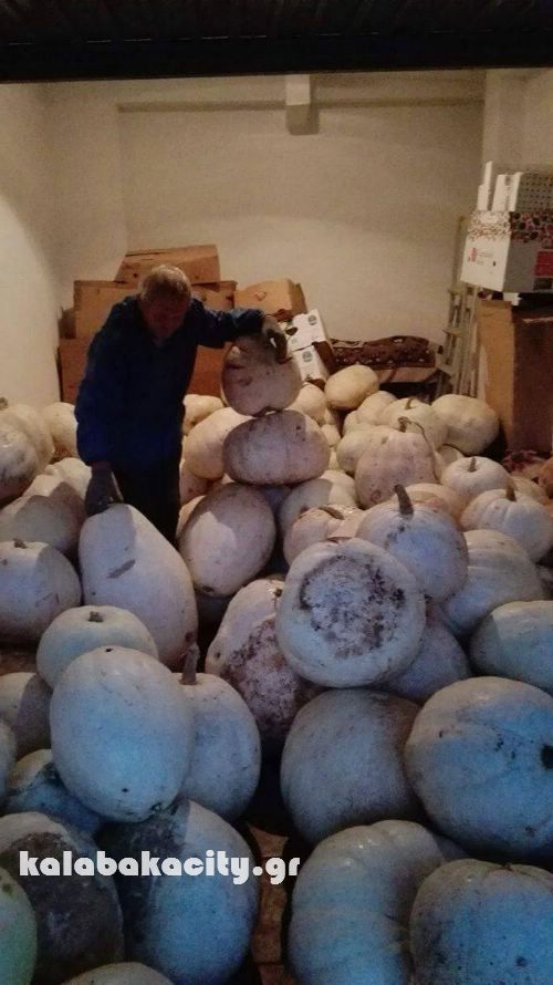 vaios 14799836 10207937314527110 1105021336 o