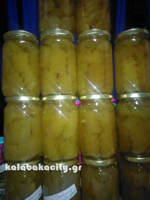 vaios 14803046 10207937327207427 1709501745 o